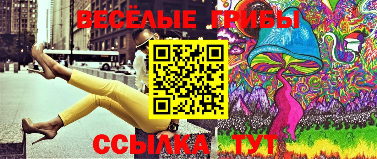 Псилоцибиновые грибы Psilocybe Александров
